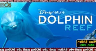 dolphin reef 2020 sinhala sub