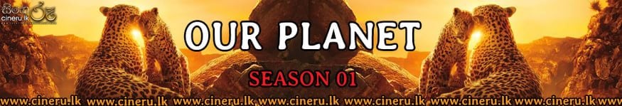 Our Planet Season 1 (2019) Sinhala Subtitles