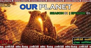 Our Planet S01 2019 Sinhala Sub