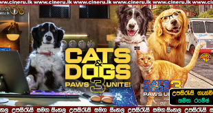 Cats & Dogs 3 Paws Unite 2020 Sinhala Sub