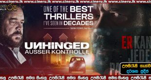 Unhinged 2020 Sinhala Sub