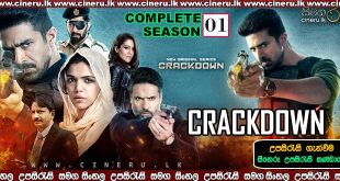 Crackdown (2020) Complete Season 01 Sinhala Sub