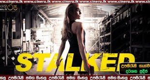 Stalked (2019) Sinhala Sub