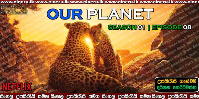 Our Planet (2019) S01E08 Sinhala Subtitles
