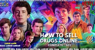 How to Sell Drugs Online (Fast) (2019) Complete Season 01 Sinhala Subtitles