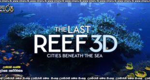 The Last Reef 3D Fatale (2012) Sinhala Subtitles