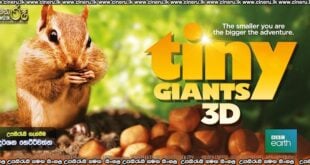 Tiny Giants 3D (2014) Sinhala Subtitles