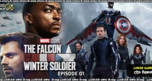 Falcon and the Winter Soldier (2021) E01 Sinhala Subtitles