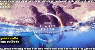 Planet Earth: A Celebration (2020) Sinhala Subtitles