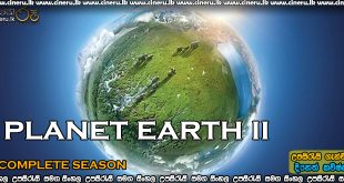 Planet Earth ii (2016) Complete S01 Sinhala Subtitles