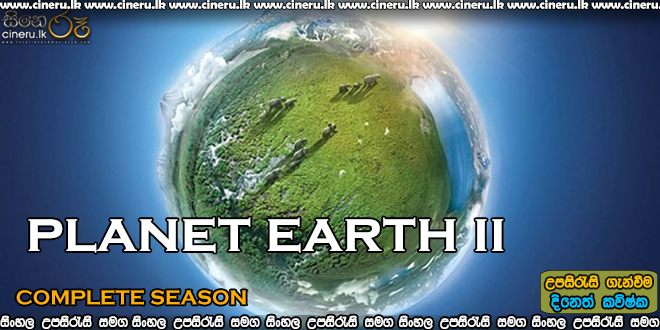 Planet Earth ii (2016) Complete S01 Sinhala Subtitles