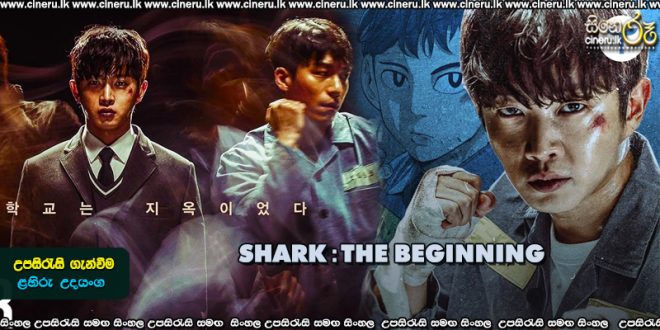 Shark the beginning (2021) Sinhala Sub
