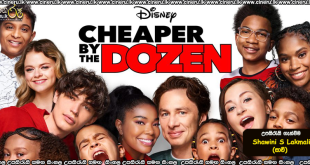 Cheaper by the Dozen (2022) Sinhala Subtitles