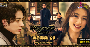 Handmade Love (2020) Complete Season Sinhala Subtitles