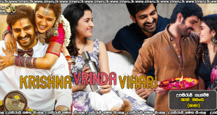 Krishna Vrinda Vihari (2021) Sinhala Subtitles