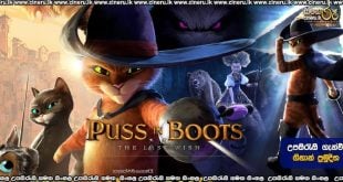 Puss in Boots: The Last Wish (2022) Sinhala Subtitles