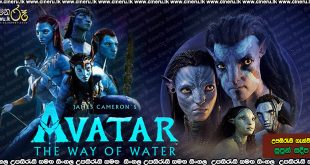 Avatar The Way of Water Sinhala Subtitle