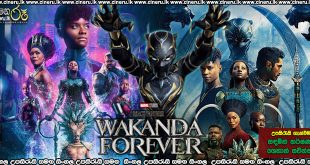 Black Panther Wakanda Forever Sinhala Subtitle