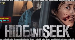 Hide and Seek 2013 Sinhala Subtitle