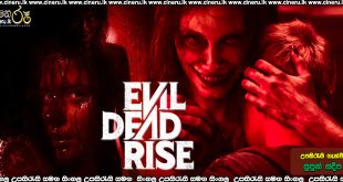 Evil Dead Rise Sinhala Subtitle