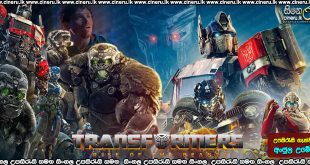 Transformers: Rise of the Beasts Sinhala Subtitle