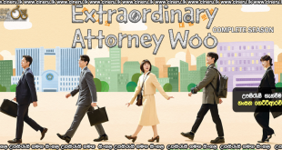 Extraordinary Attorney Woo (2022) Complete Season Sinhala Subtitle