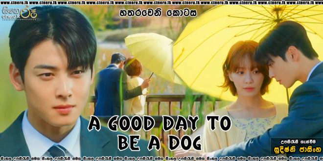 A Good Day To Be A Dog (2023) S01E04 Sinhala Subtitles