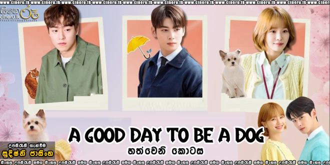 A Good Day To Be A Dog (2023) S01E07