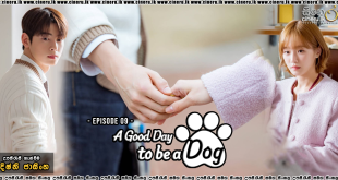 A Good Day To Be A Dog (2023) S01E09 Sinhala Subtitles