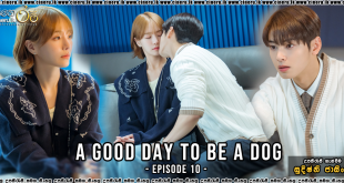 A Good Day To Be A Dog (2023) S01E10 Sinhala Subtitles
