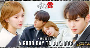 A Good Day To Be A Dog (2023) S01E11 Sinhala Subtitles