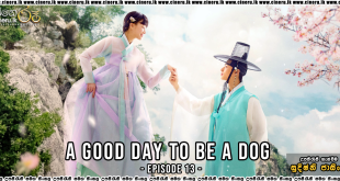 A Good Day To Be A Dog Sinhala Subtitles