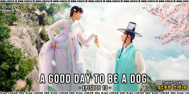A Good Day To Be A Dog Sinhala Subtitles