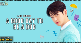 A Good Day To Be A Dog (2023) S01E14 Sinhala Subtitles