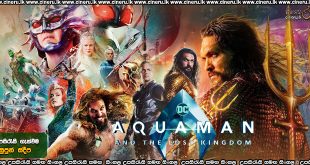 Aquaman and the Lost Kingdom Sinhala Subtitle