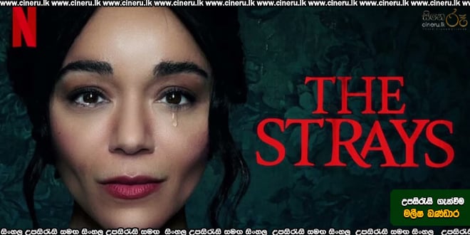 The Strays (2024) Sinhala Subtitles