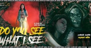 Do You See What I See (2024) Sinhala Subtitles