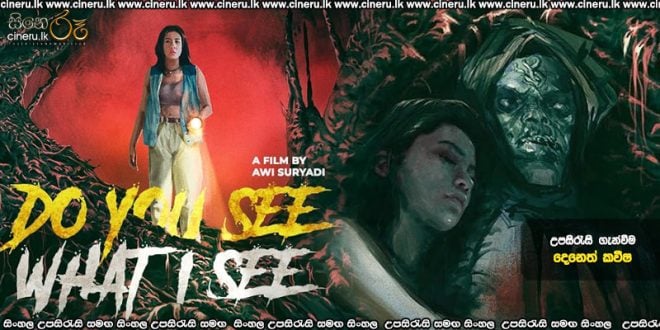 Do You See What I See (2024) Sinhala Subtitles