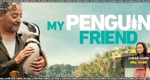 My Penguin Friend (2024) Sinhala Subtitles