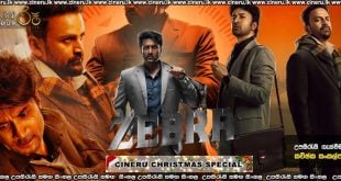 Zebra (2024) Sinhala Subtitles