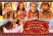 Welcome Wedding (2024) Sinhala Subtitles