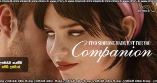 Companion (2025) Sinhala Subtitles