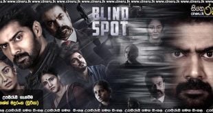 Blind Spot (2025) Sinhala Subtitles