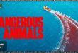 Dangerous Animals (2025) Sinhala Subtitles