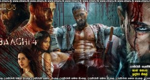 Baaghi 4 (2025) Sinhala Subtitles