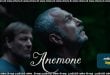 Anemone (2025) Sinhala Subtitles