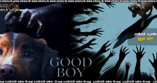 Good Boy (2025) Sinhala Subtitles