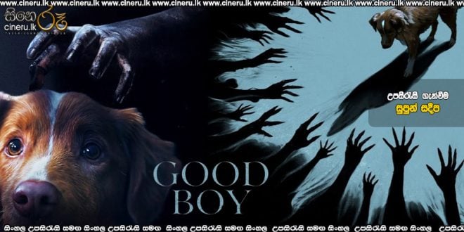 Good Boy (2025) Sinhala Subtitles