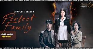 Perfect Family S01 (2024) [COMPLETE SEASON] Sinhala Subtitles