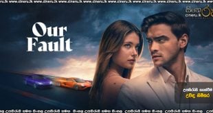 Our Fault (2025) Sinhala Subtitles